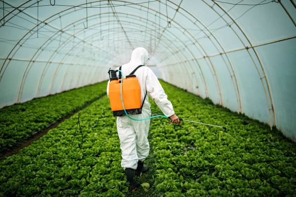 Best Best Pest Control Companies  in Milford, NJ