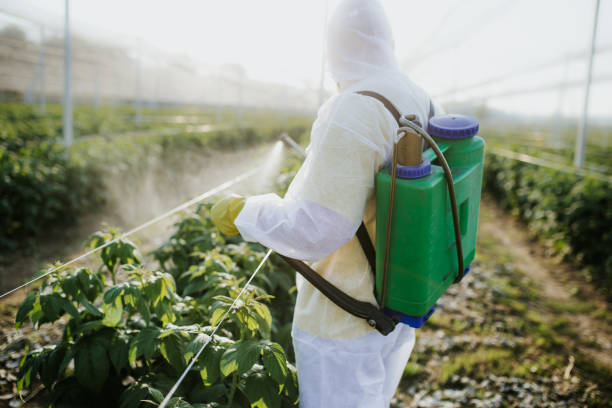 Best Pest Prevention Services  in Milford, NJ